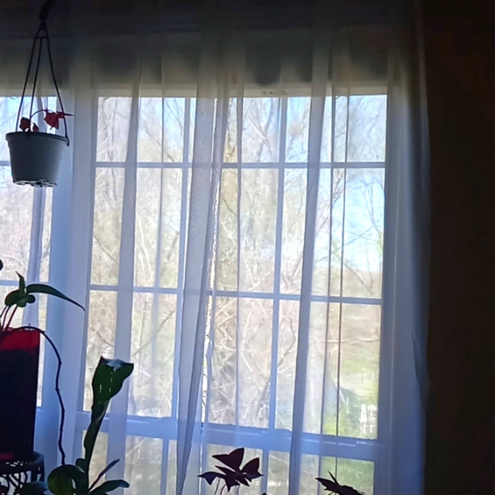 why he sheer curtain